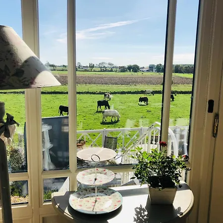 Bed & Breakfast Het Zilte - Luxe Ontbijt - Gratis Parking - Westende